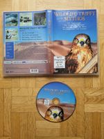 DVD Film Wildlife trifft Mythos - Der Sonnenvogel Bayern - Memmingen Vorschau