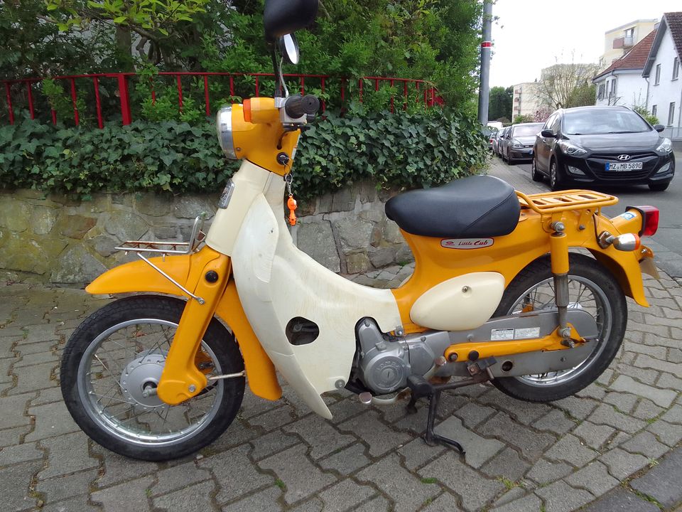 Honda Little Cub 50c in Budenheim