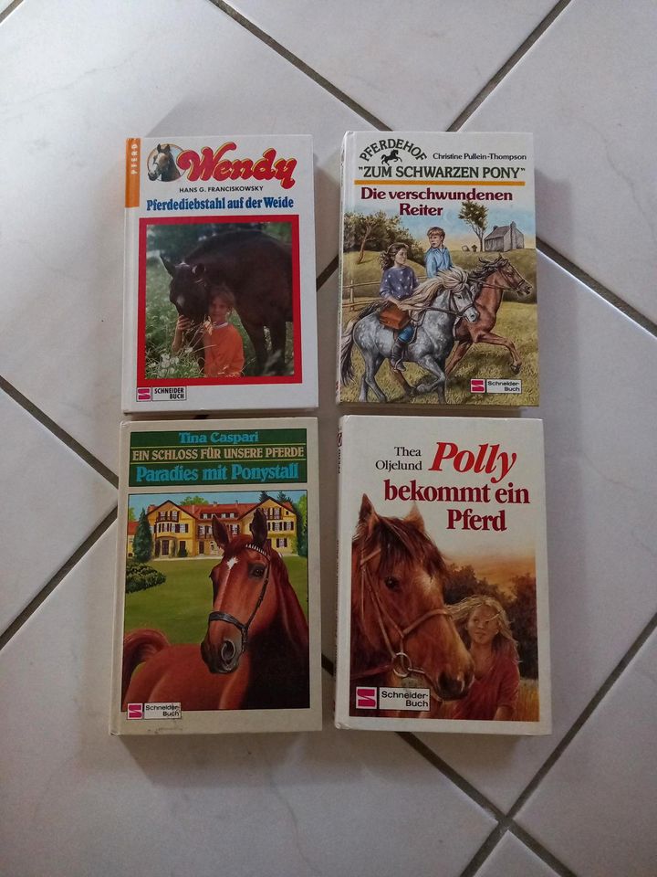 Pferde Bücher Mädchen 10-13 Jahre Wendy Polly Pony Buch in Schloß Holte-Stukenbrock