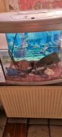 Aquarium 65 Liter Nordrhein-Westfalen - Velbert Vorschau