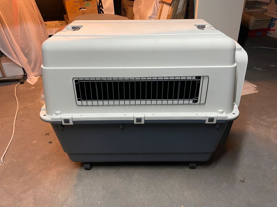 AniOne Transportbox XL für Hunde Flugzeugbox Hundebox in Moers