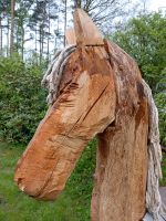 Holz Kinder Garten Pferd Nordrhein-Westfalen - Warstein Vorschau