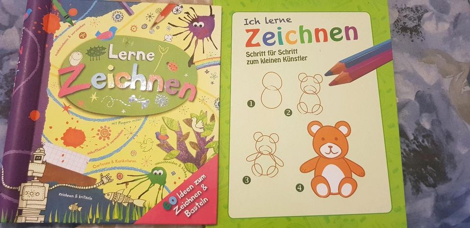 15 Bücher Kinderbücher Olchi, Pelle, Die drei ???, 1000 Gefahren in Rosengarten