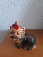 Porzellan Hund Yorkshire Terrier 515 von Goebel Rheinland-Pfalz - Schifferstadt Vorschau