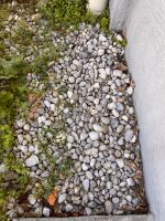 Steine zu verschenken für Garten etc Bayern - Kaufbeuren Vorschau