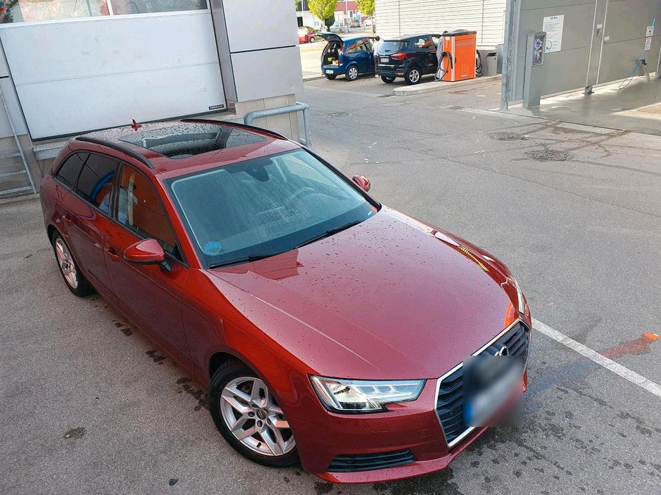 Audi A4 Avant 2.0 TDI Ultra S tronic Matrix LED Navi Pano in Bad Wörishofen