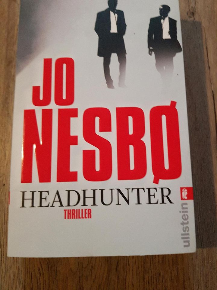 Spannende Thriller Berg, Nesbo, Krist, Oxen, Robotham in Wembach