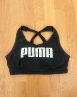 Puma Sports bh S Stuttgart - Stuttgart-West Vorschau