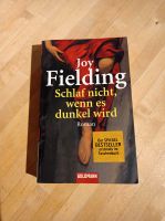 Schlaf nicht, wenn es dunkel wird Joy Fielding Niedersachsen - Schüttorf Vorschau