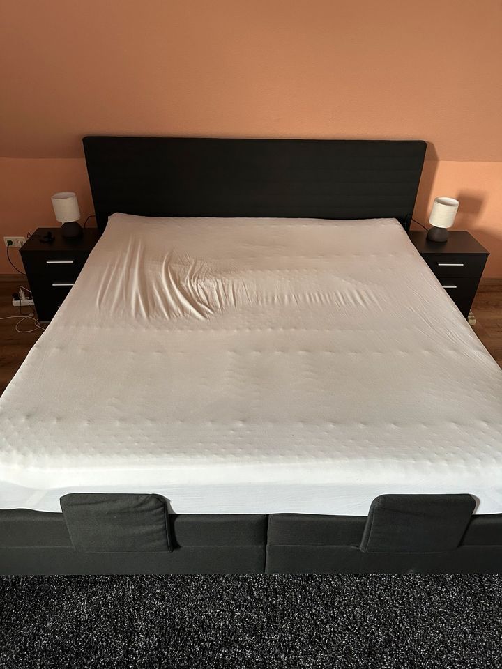 Boxspringbett mit Motor/ elektrisch verstellbar 180 x 200 in Greiz