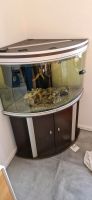 Aquarium 190 Liter Sachsen - Pirna Vorschau