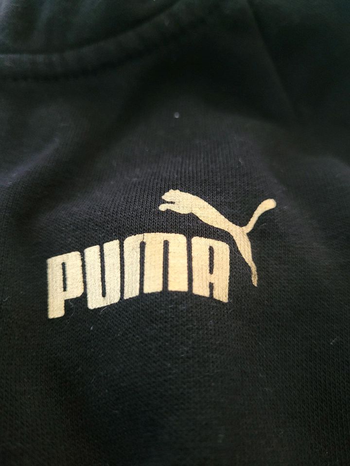 Puma Jogginganzug Hose Jacke Größe M schwarz gold in Arnstadt