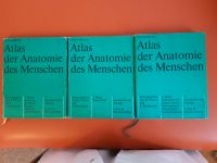 Anatomieatlanten  Sobotta/Becher Niedersachsen - Braunschweig Vorschau