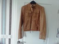 Lederjacke Gipsy Brandenburg - Frankfurt (Oder) Vorschau