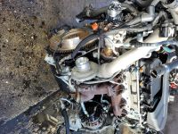 Motor Fiat DUCATO 2.3 EU5 F1AE3481D 130PS KOMPLETT Nordrhein-Westfalen - Leverkusen Vorschau