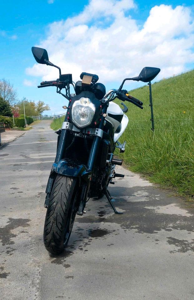 Motorrad Hyosung GT 650 Naked wie Suzuki SV 650 in Wilhelmshaven