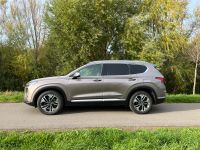 Hyundai Santa Fe e 2.2 CRDi 4WD  Automatik Premium Rheinland-Pfalz - Bad Dürkheim Vorschau