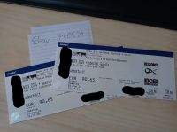 2x Tickets für NoFX in Saarbrücken am 01.06.2024 Rheinland-Pfalz - Mainz Vorschau