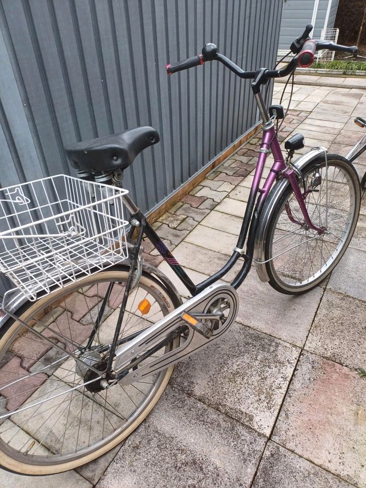 Damen Fahrrad in Landshut