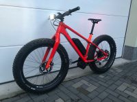 Canyon Dude Größe L Pedelec/  E-Bike Neuaufbau Leipzig - Möckern Vorschau