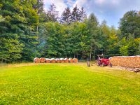 Brennholz zu verkaufen Bayern - Grafenau Vorschau