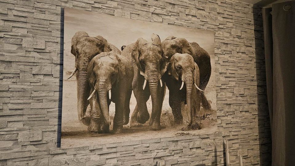 Leinwand Bild Elefanten in Berlin