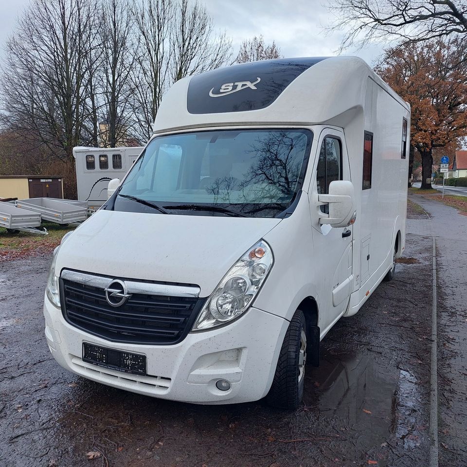 Pferdetransporter STX Horsebox Opel 3,5 t gebraucht, 5-Sitzer in Großderschau