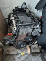 VR6 Motor ABV Sachsen - Neukirchen/Erzgeb Vorschau