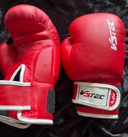 Boxhandschuhe Kinder V3Tech Zo-8 Bayern - Marktheidenfeld Vorschau