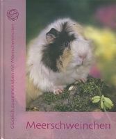 Glücklich zusammenleben mit Meerschweinchen Hessen - Flörsheim am Main Vorschau