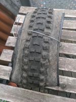 Schwalbe Big Betty Soft Faltereifen Reifen 27.5 2.6 Supertrail Bonn - Bonn-Zentrum Vorschau