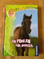 Buch "Ein Fohlen für Rebecca" Schleswig-Holstein - Nahe Vorschau