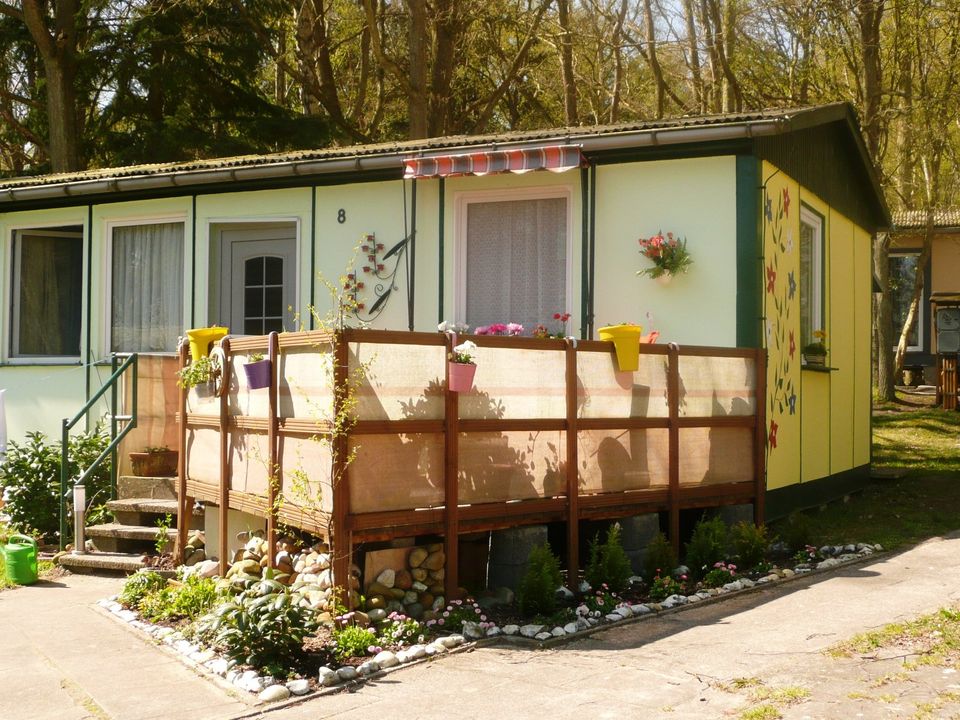 Insel Rügen für Kurzentschlossene: Strandnaher Bungalow in Dranske