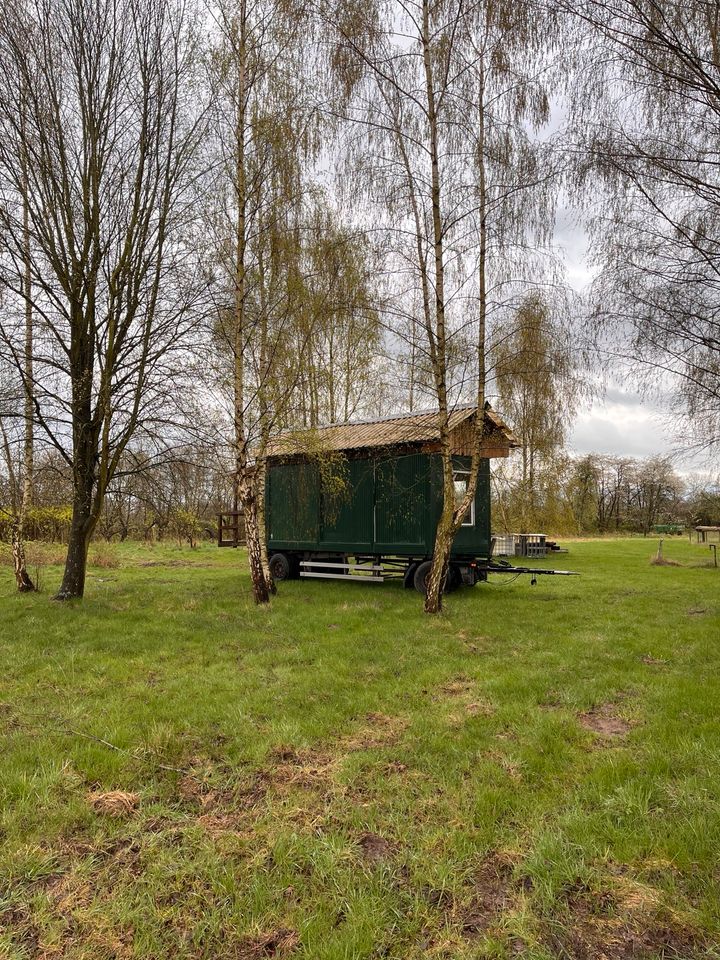 Tinyhouse, wohnwagen, bauwagen…. in Hamburg