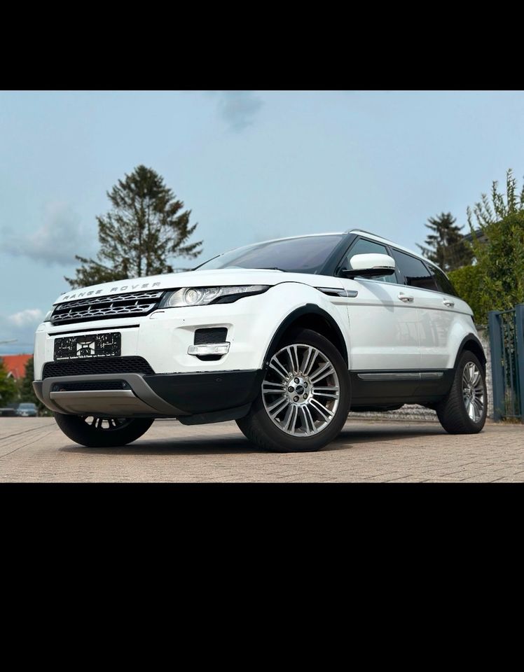 Range Rover Evoque 2.2l 190 PS Automatik in Wenningstedt