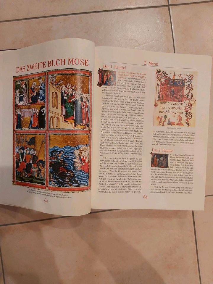 Die Bibel von Martin Luther in Magdeburg