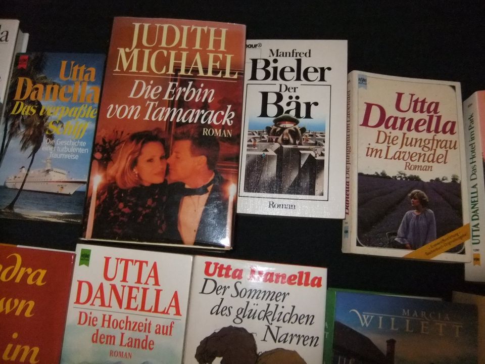 Romane Taschenbücher usw. ab 1 Euro in Bad Salzuflen