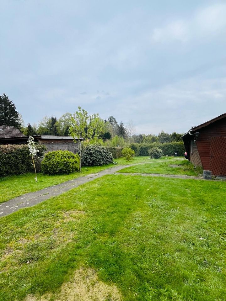 Bungalow Haus im Grünen mit Einliegerwohnung in Helvesiek