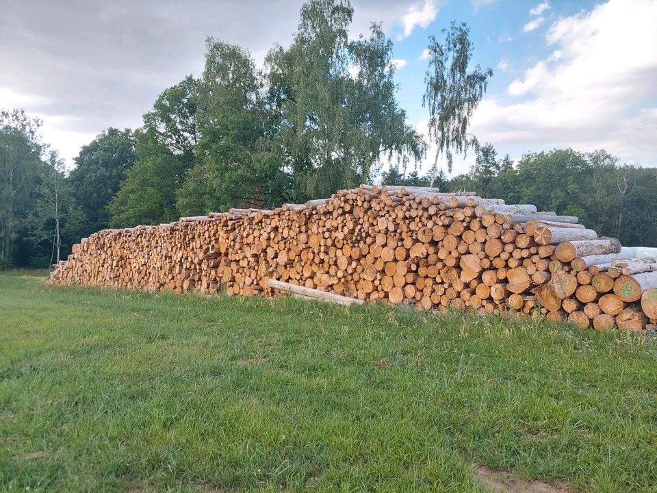 Brennholz Feuerholz Stammholz 45€ Brutto in Oederan