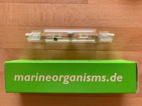 HQI – HID – marine organisms– 16.000K – 150W – Meerwasser Baden-Württemberg - Steinheim Vorschau