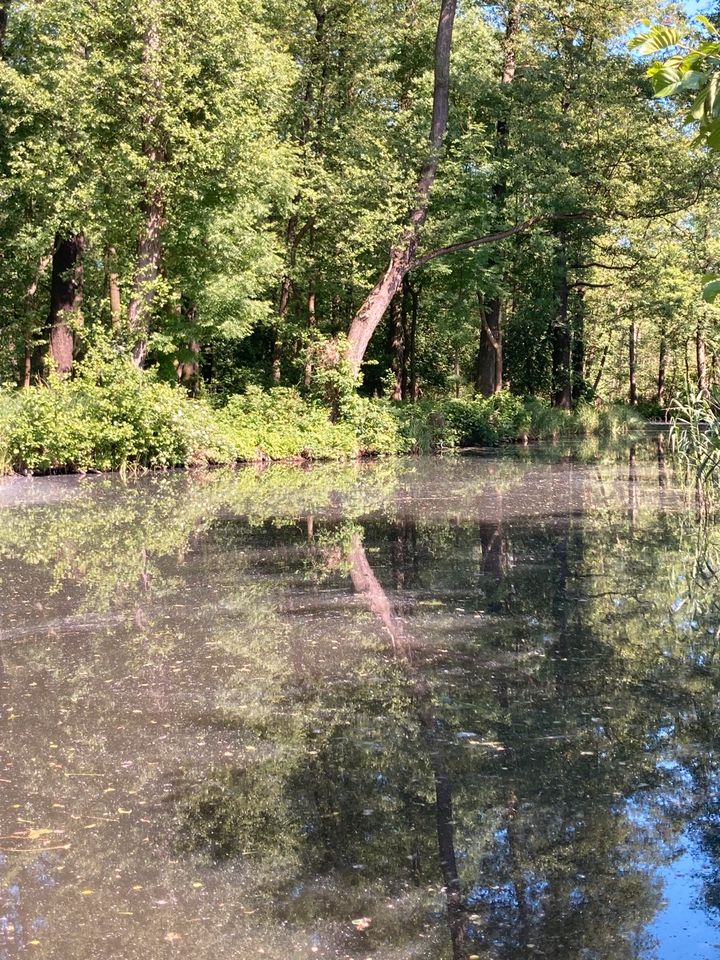 Spreewald Kahnfahrt in Lübben