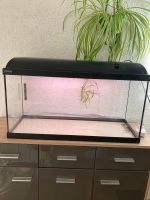 Waterhome 80l Aquarium Terrarium Starterset Baden-Württemberg - Leimen Vorschau