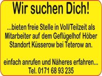 Mitarbeiter auf dem Geflügelhof gesucht 17168 Küsserow Mecklenburg-Vorpommern - Jördenstorf Vorschau