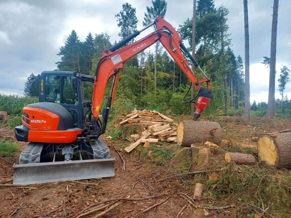 Bagger mieten mit Kegelspalter oder Fällgreifer in Plankenfels