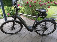 E-Bike, Pegasus Evo 10 lite, 3 Jahre, Herrenrad, 2746 km Niedersachsen - Thuine Vorschau