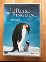 DVD, Film, Die Reise der Pinguine Nordrhein-Westfalen - Kall Vorschau