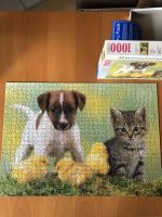 Ravensburger Puzzle 1000 Teile Tiere Hund Katze Küken vollständig Bayern - Henfenfeld Vorschau