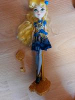 Ever After High Puppen Berlin - Treptow Vorschau