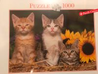 Puzzles Kätzchen Hessen - Kassel Vorschau