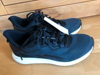 Reebok Laufschuhe Forever Floatride Energy 2.0 Gr. 41 auch Damen Niedersachsen - Neu Wulmstorf Vorschau